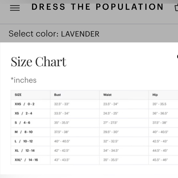 NEW Dress the Population Carina Embroidered Strapless Dress M/8-10 Blush Multi - Picture 15 of 15